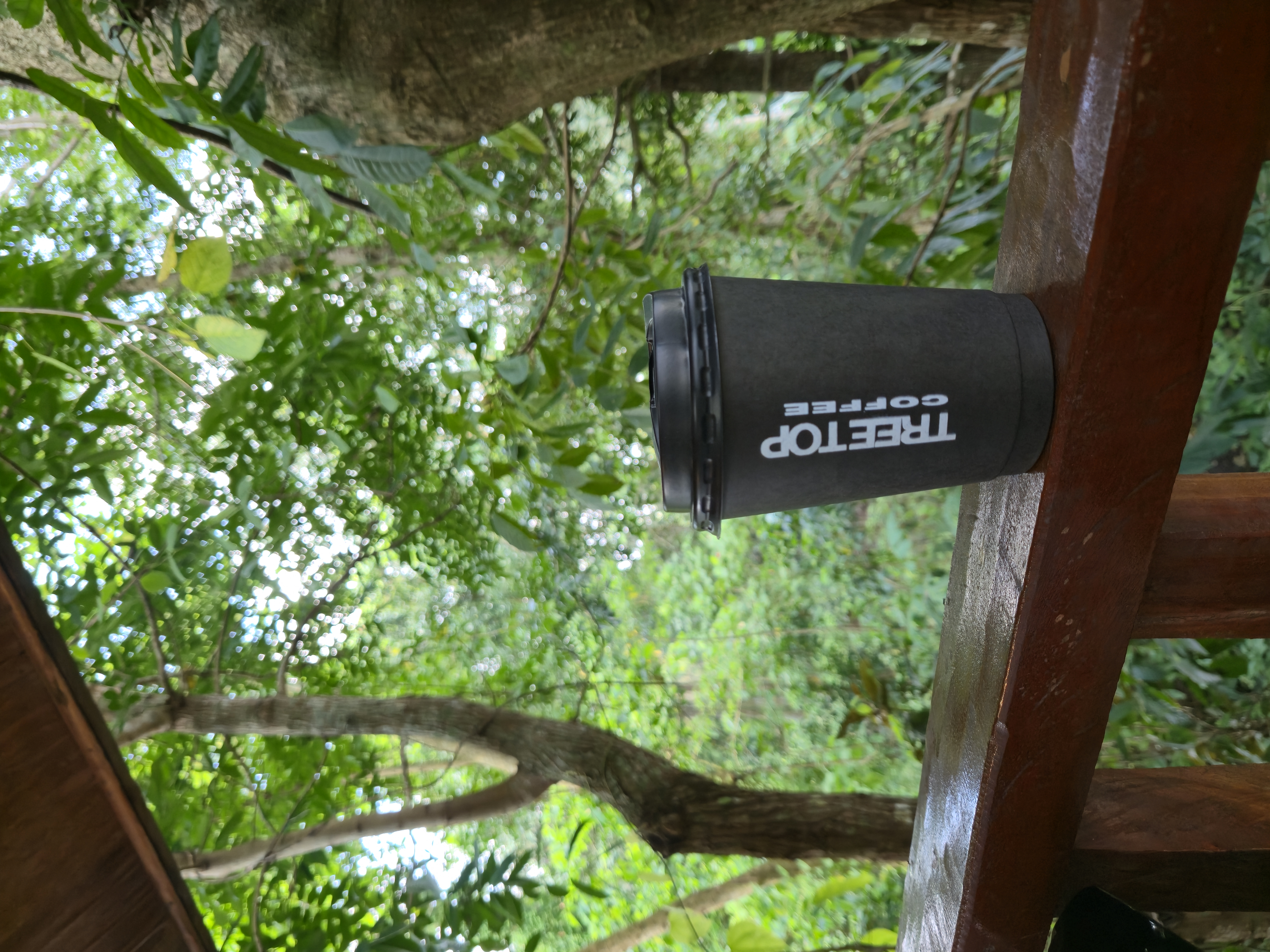 Coffee at Tree Top Cafe